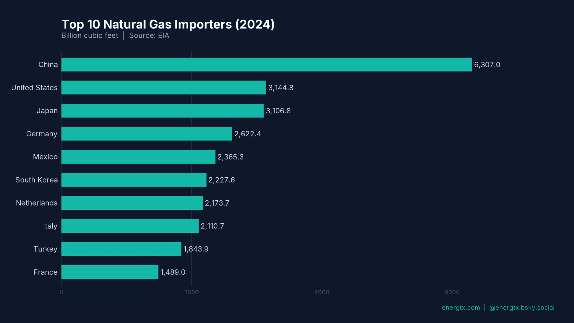 Top Natural Gas Importers